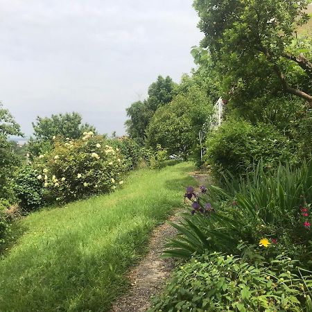 Appartement Avec Vue Panoramique Sur L'Estuaire De La Gironde Plassac  Εξωτερικό φωτογραφία