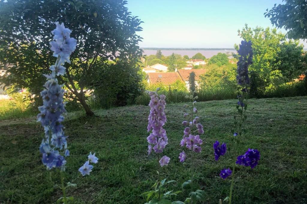 Appartement Avec Vue Panoramique Sur L'Estuaire De La Gironde Plassac  Εξωτερικό φωτογραφία